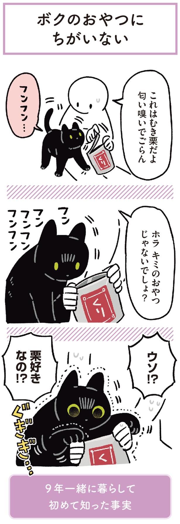 ウソ！？栗好きなの！？ （C）AKR／KADOKAWA