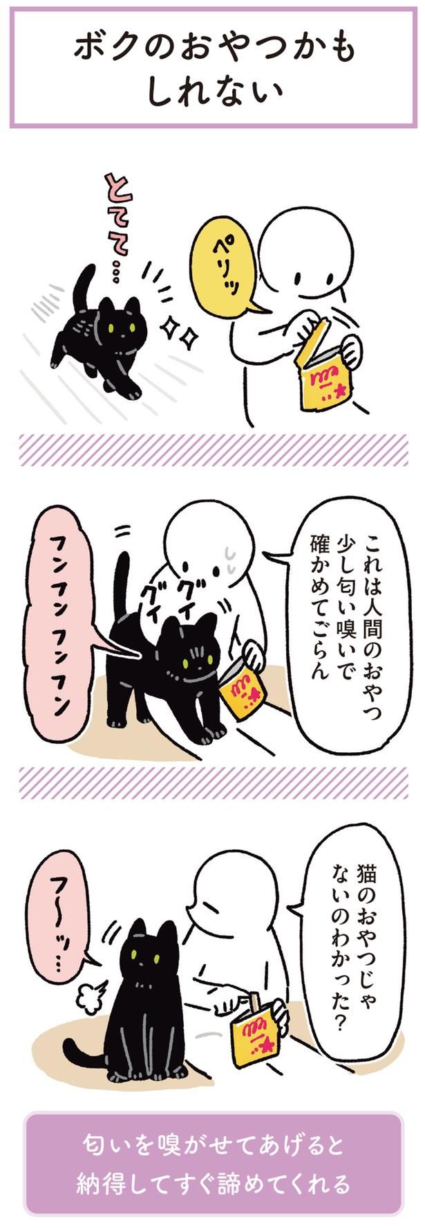 これは人間のおやつ （C）AKR／KADOKAWA