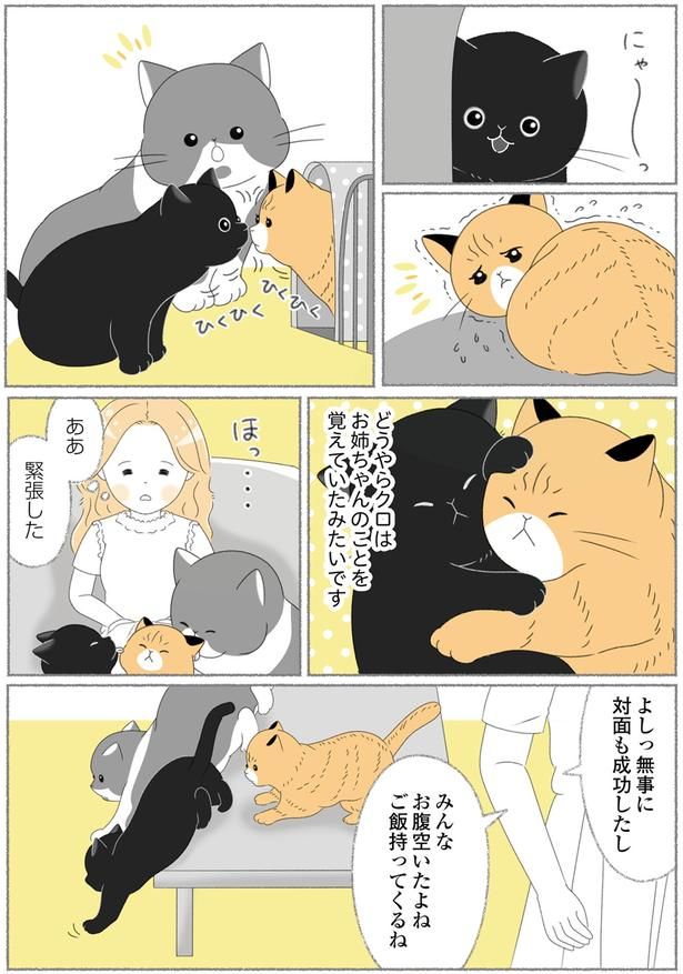 ああ緊張した （C）ゆきよみ、にゃんかつ／KADOKAWA