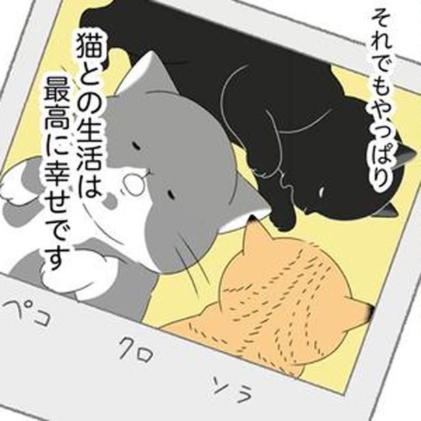 猫との生活は最高に幸せ （C）ゆきよみ、にゃんかつ／KADOKAWA