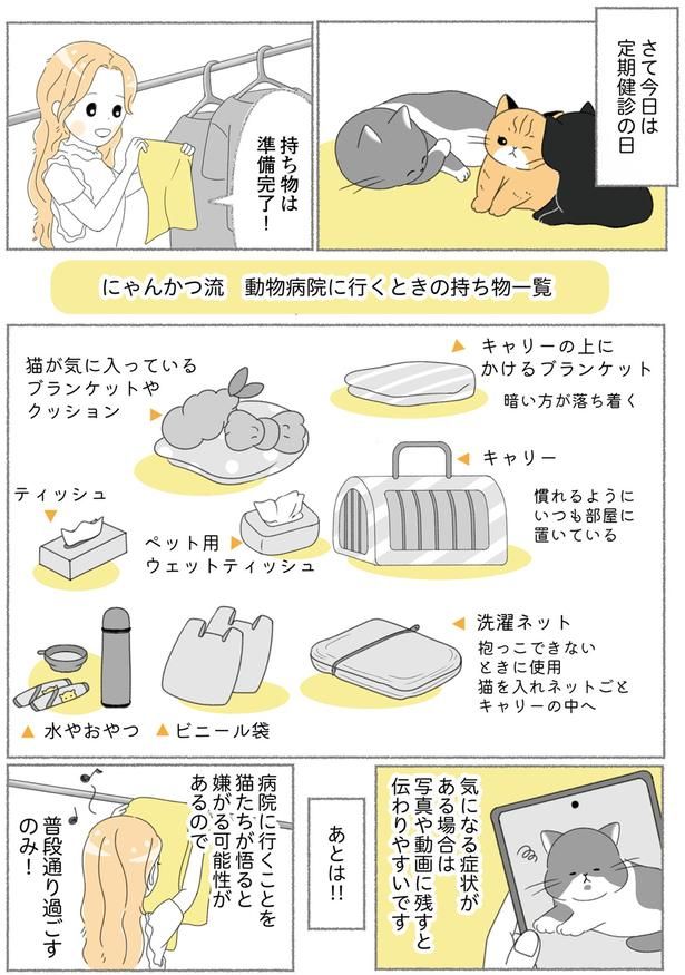 定期健診の日 （C）ゆきよみ、にゃんかつ／KADOKAWA