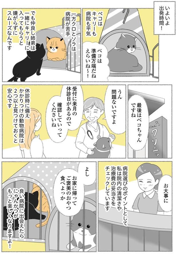 問題ないですよ （C）ゆきよみ、にゃんかつ／KADOKAWA