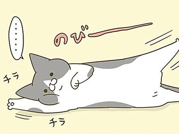 チラチラ… （C）卵山玉子／KADOKAWA