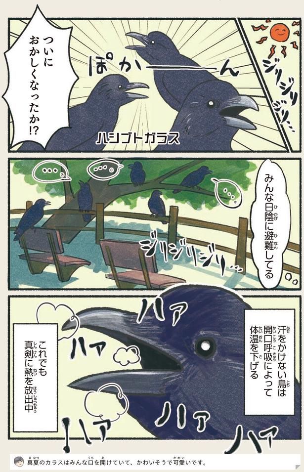 ついにおかしくなったか！？ （C）piro piro piccolo／KADOKAWA