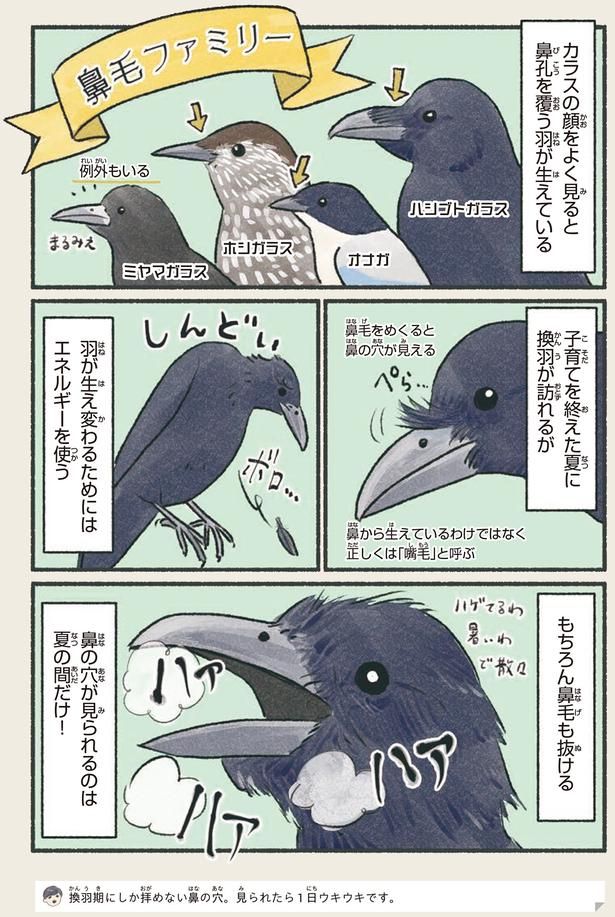もちろん鼻毛も抜ける （C）piro piro piccolo／KADOKAWA