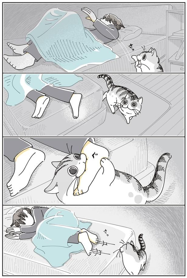 はみでてるよ… （C）キュルZ／KADOKAWA