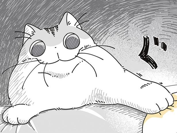 ちょっかいを… （C）キュルZ／KADOKAWA
