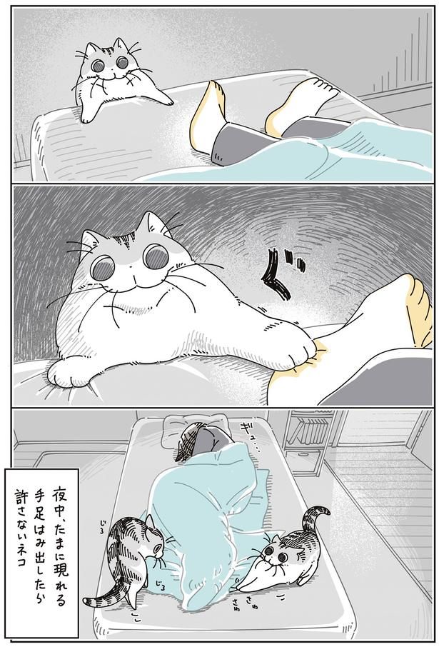 はみだしを許さないネコ （C）キュルZ／KADOKAWA