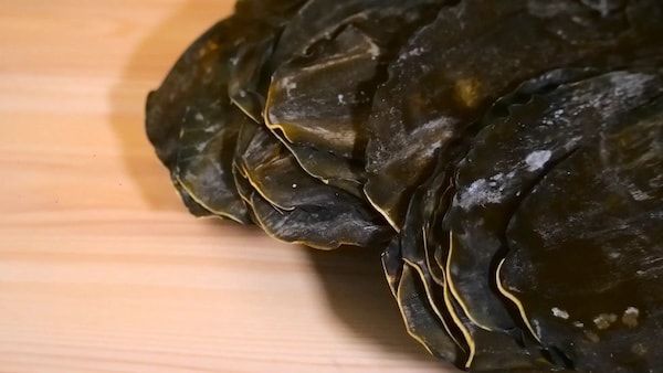 【東京都渋谷区】「しゃぶしゃぶ龍樹」が羅臼昆布や豚骨、魚介の旨味で味わうつけ麺2種を提供開始