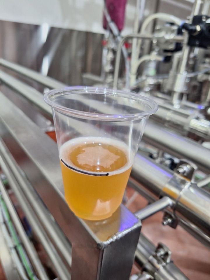 りんくうタウンで美味しく楽しくクラフトビールを味わう！関西によなよなビアライズが誕生！