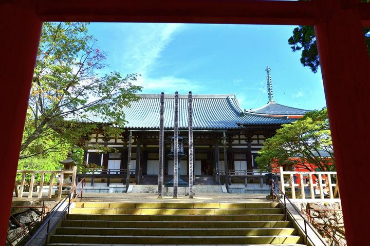 高野山 壇上伽藍 金堂
