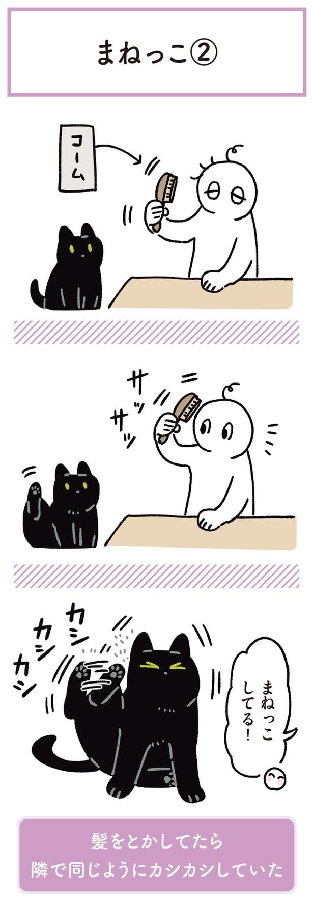 まねっこしてる！ （C）AKR／KADOKAWA