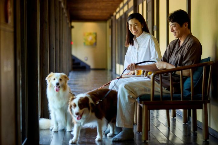 「懐」の縁側で愛犬と過ごす宿泊客