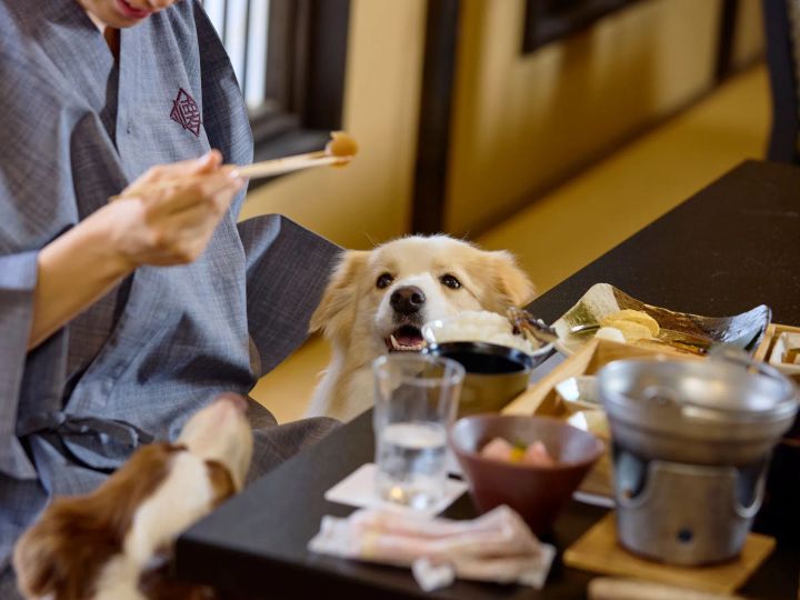愛犬同伴のお食事処で寛ぐ宿泊客
