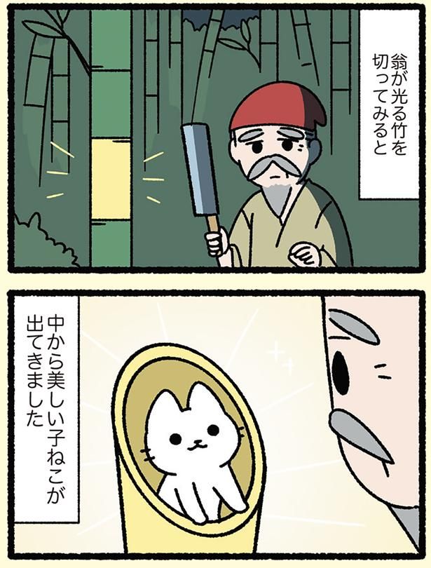 美しい子ねこ （C）ぱんだにあ／KADOKAWA