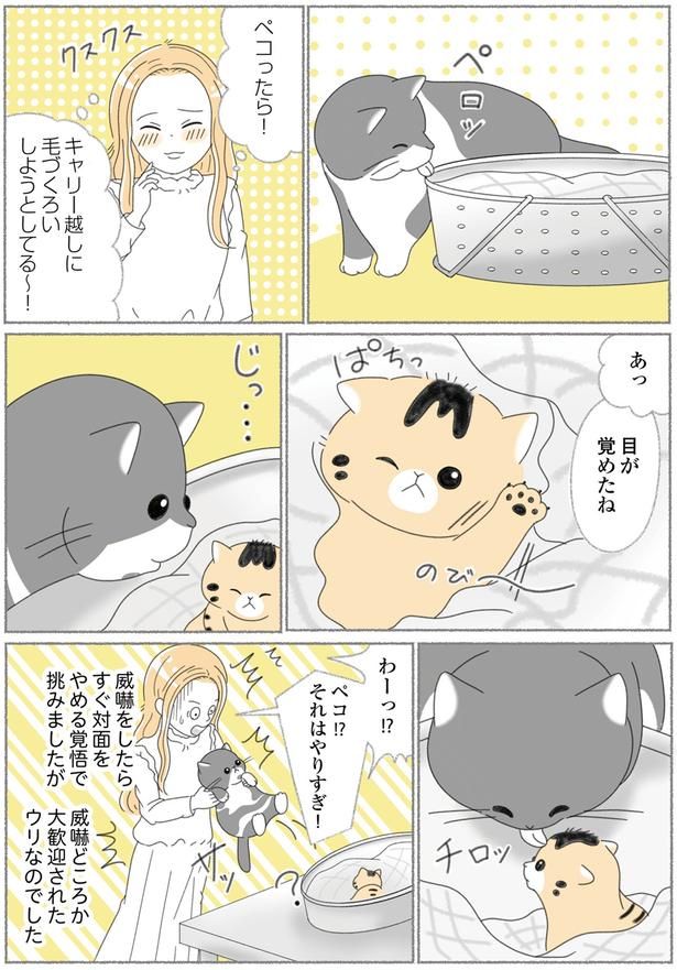 目が覚めたね （C）ゆきよみ、にゃんかつ／KADOKAWA