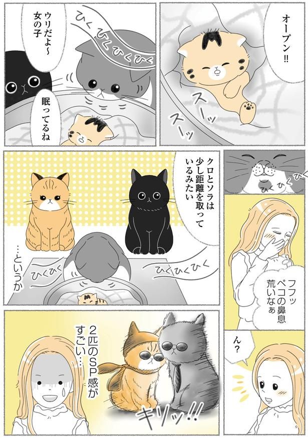 オープン！！ （C）ゆきよみ、にゃんかつ／KADOKAWA