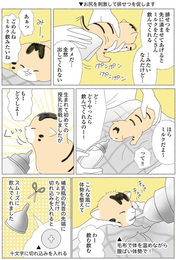 もーどうしよー （C）ゆきよみ、にゃんかつ／KADOKAWA