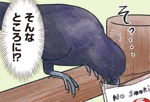 そんなところに！？ （C）piro piro piccolo／KADOKAWA