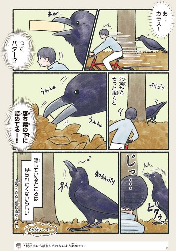 隠しているところは見られたくないらしい （C）piro piro piccolo／KADOKAWA