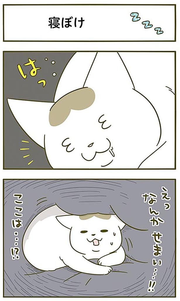 ここは…！？ （C）卵山玉子／KADOKAWA