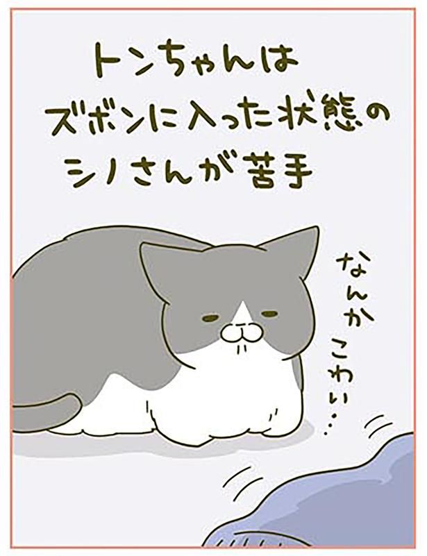 なんか…こわい… （C）卵山玉子／KADOKAWA