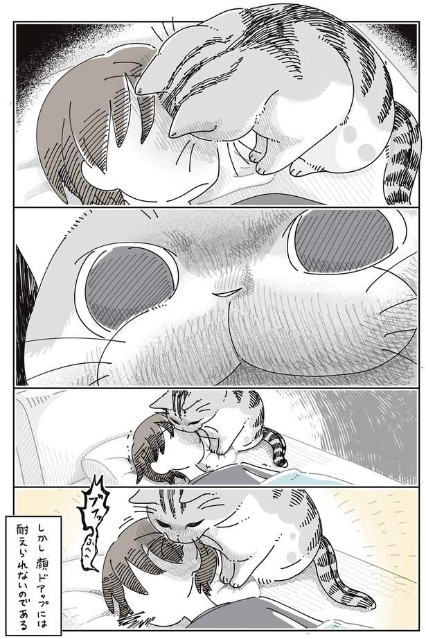 顔ドアップには耐えられない （C）キュルZ／KADOKAWA