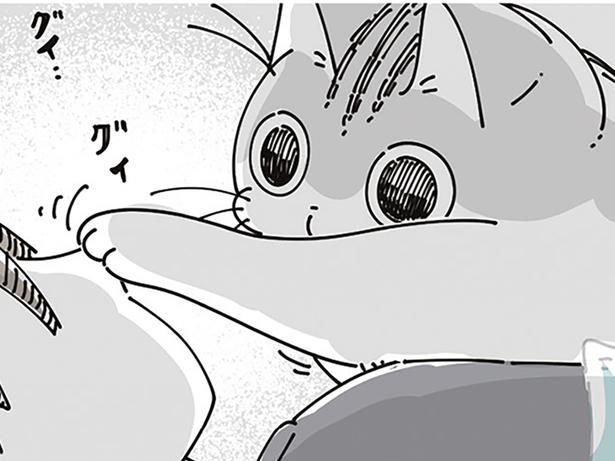 ネコに好き勝手される （C）キュルZ／KADOKAWA