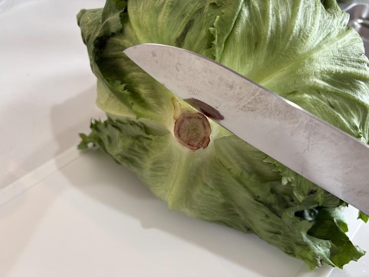 画像1: レタスのシャキシャキを保つ方法