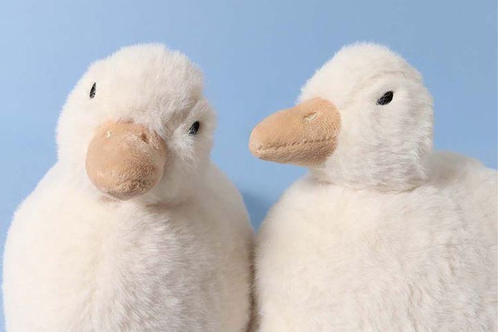 「アヒル」そっくりのスリッパ。「カモ」も新登場