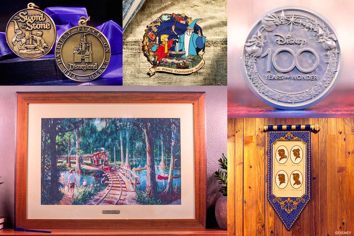 The Disney Experiences Auctionの出品アイテム
