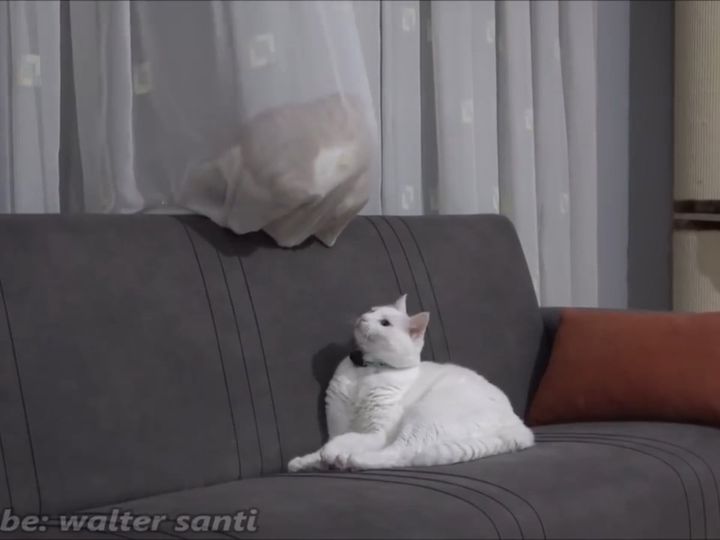 カーテンで快適なベッドが完成！？