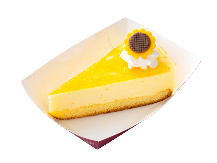 ヒュウガナツレアチーズケーキ