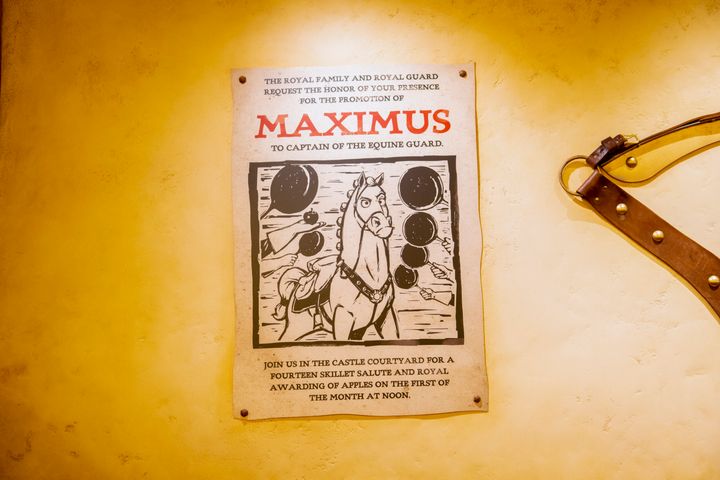「マキシマス」の手配書