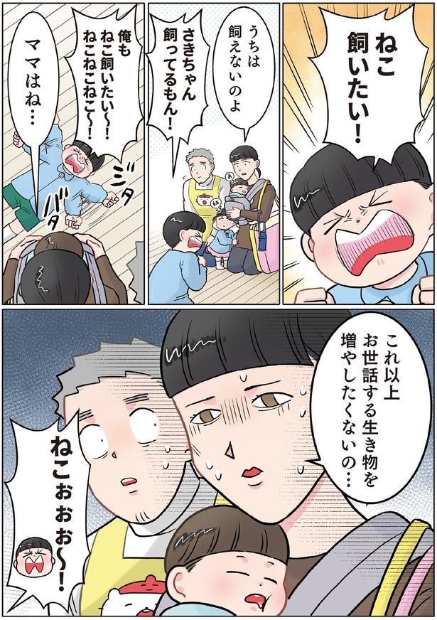 「ねこ飼いたい！」 （C）でこぽん吾郎／KADOKAWA