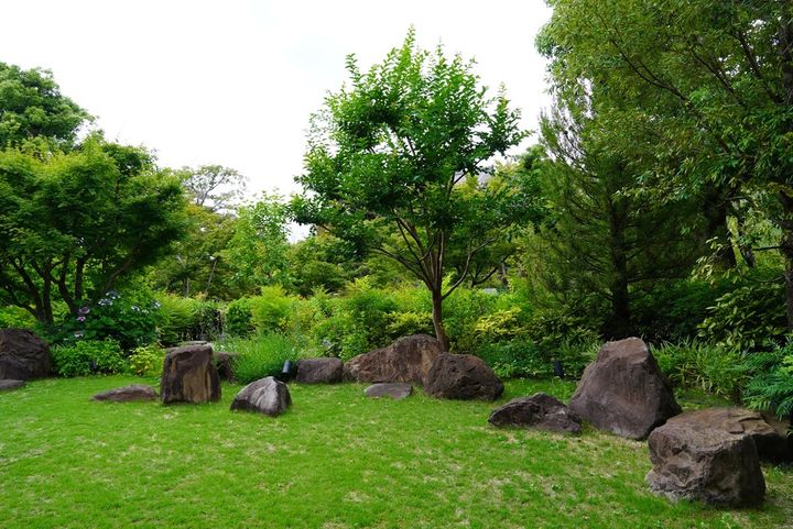 岡崎別邸の庭