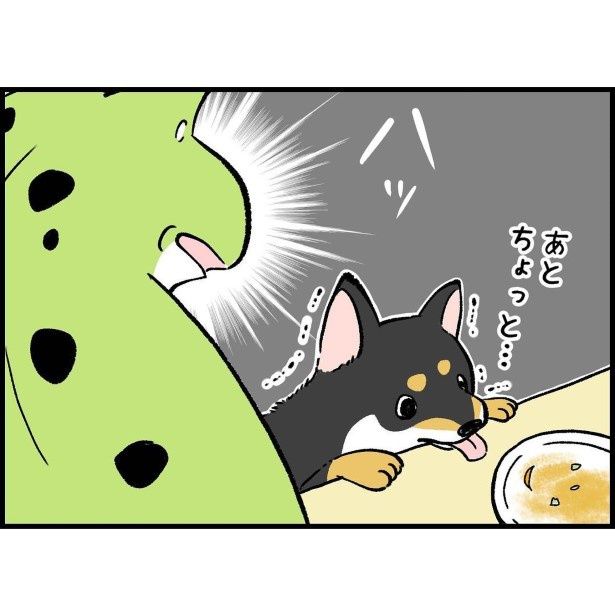 子どもの名前とペットの名前わりと間違えがち_4 ユウコトリトリ(@yuko_toritori)