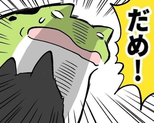 とっさに叱るとき、犬と子どもの名前が混同してしまう ユウコトリトリ(@yuko_toritori)