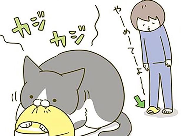 スリッパを奪う猫 （C）卵山玉子／KADOKAWA