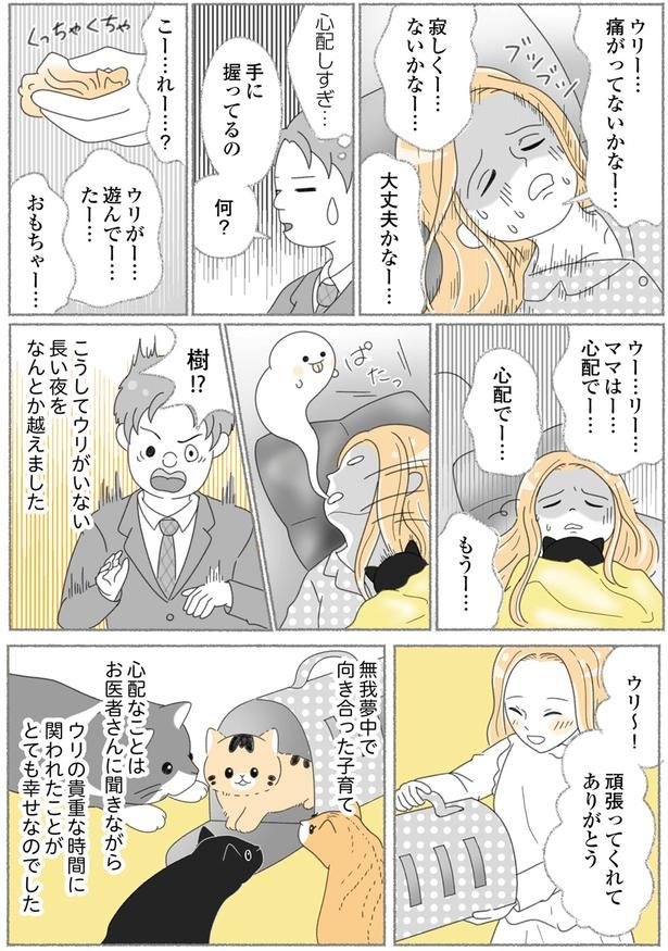 心配しすぎ… （C）ゆきよみ、にゃんかつ／KADOKAWA