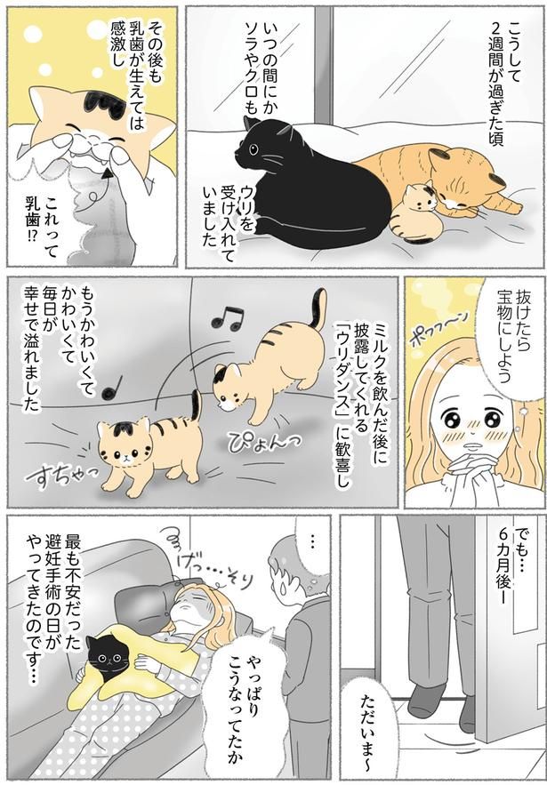 毎日が幸せで溢れました （C）ゆきよみ、にゃんかつ／KADOKAWA