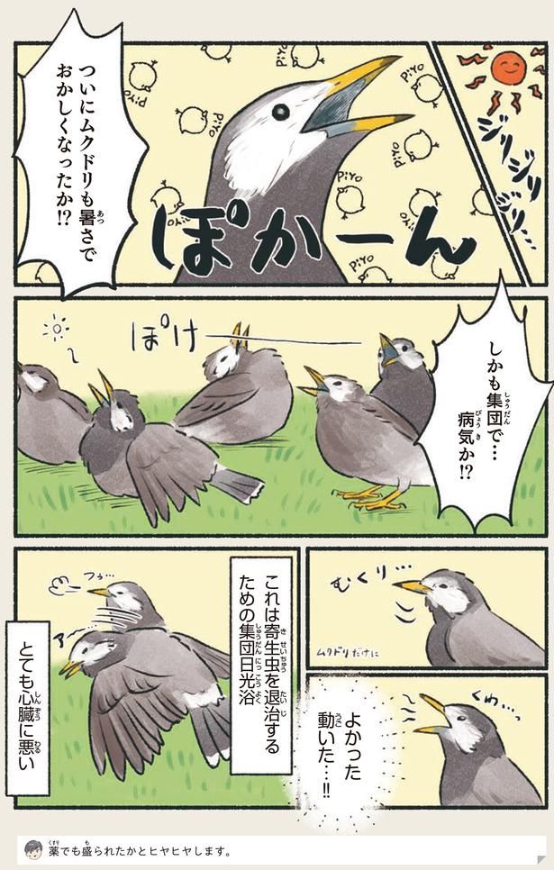 よかった動いた…！！ （C）piro piro piccolo／KADOKAWA