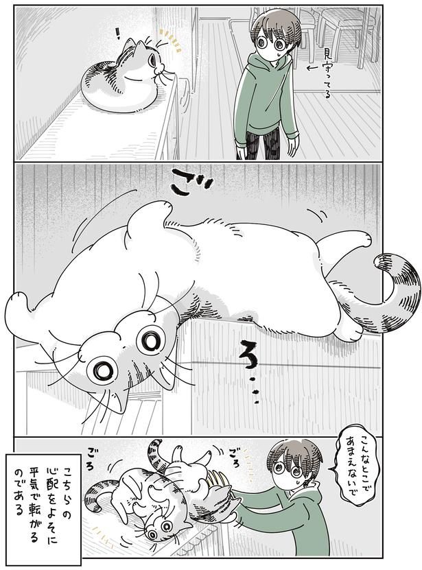 こんなとこであまえないで （C）キュルZ／KADOKAWA