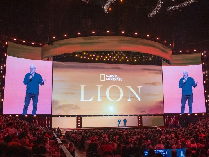 ナショナル ジオグラフィック『LION -王国の物語-』