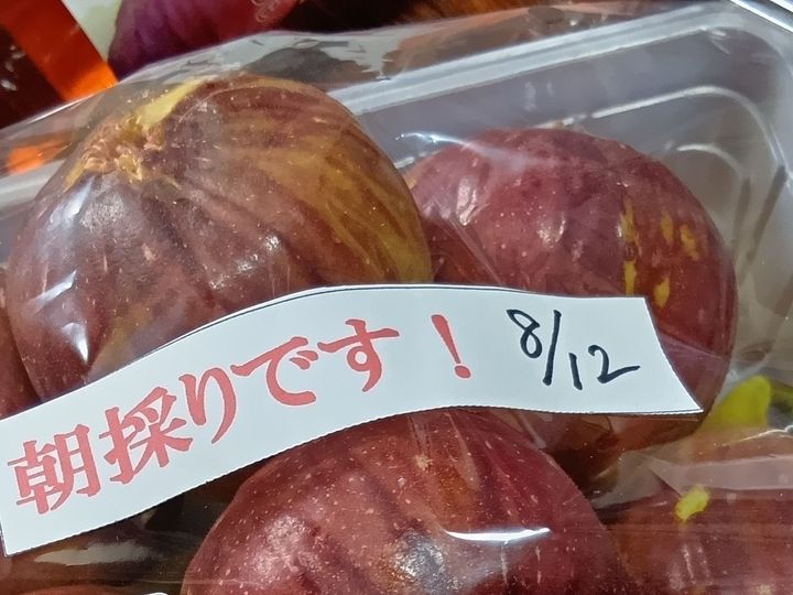 イチジクの目利きポイントその① 朝採りを狙うべし！！！