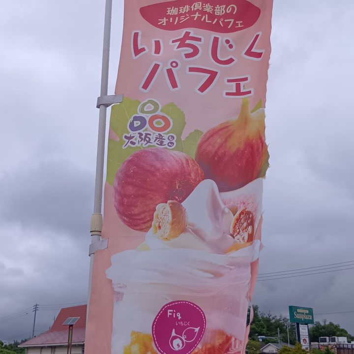 【旬の果物の選ぶべきポイント】大阪発！羽曳野の直売所で見つけた、いちじく・ぶどう・ブルーベリー！！！