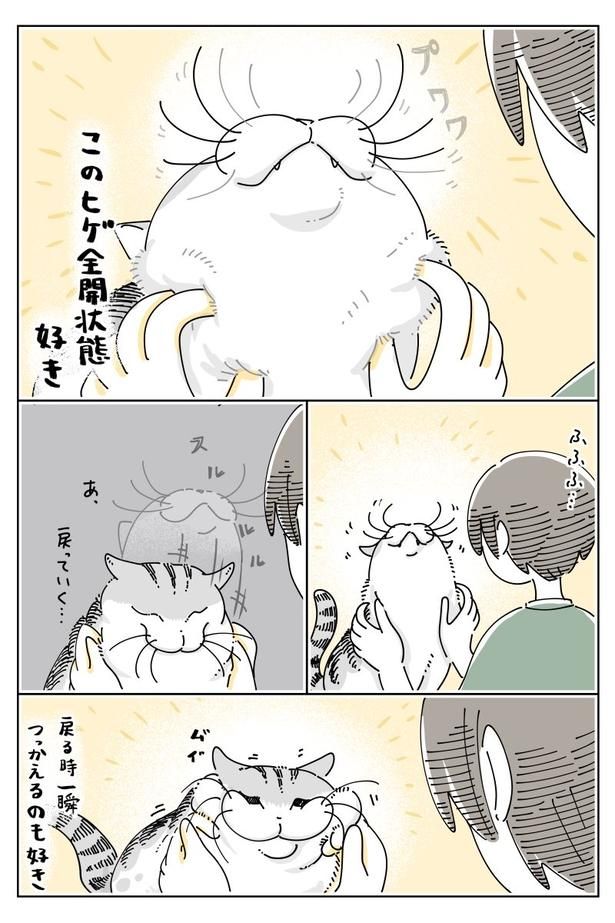 02 画像提供：キュルZ@kyuryuZ