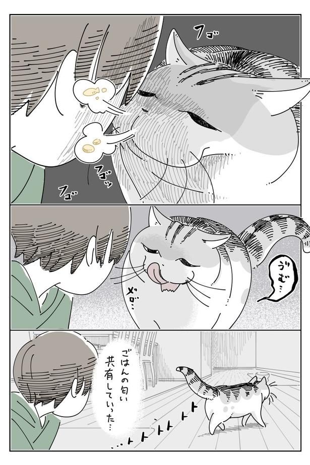 02 画像提供：キュルZ@kyuryuZ