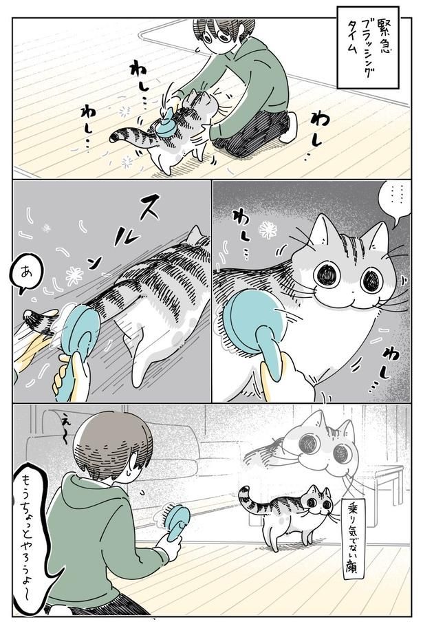 02 画像提供：キュルZ@kyuryuZ