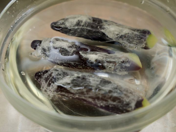 氷水に浸され粗熱を取っているラップ付きのなす3本